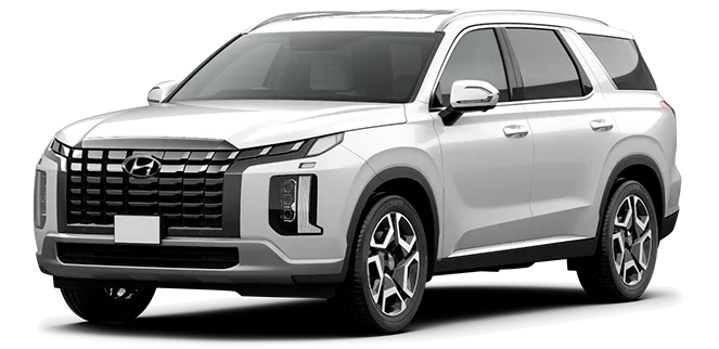 Баннер Hyundai Palisade