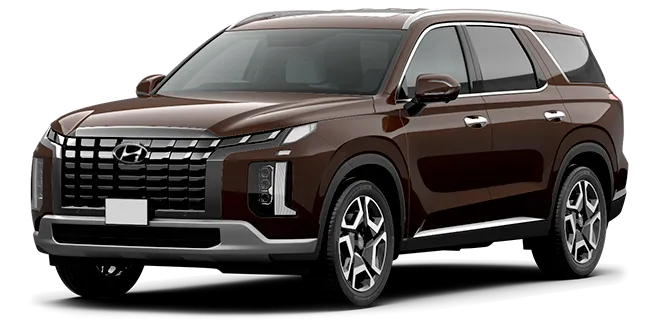 Баннер Hyundai Palisade