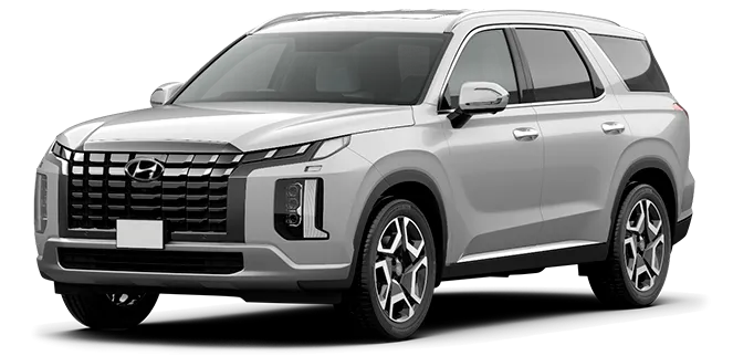 Баннер Hyundai Palisade