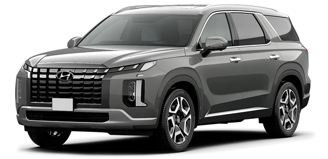 Баннер Hyundai Palisade